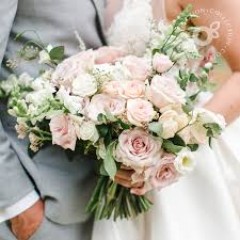 Seller Image